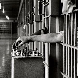 альтернатива тюремному заключению и виды